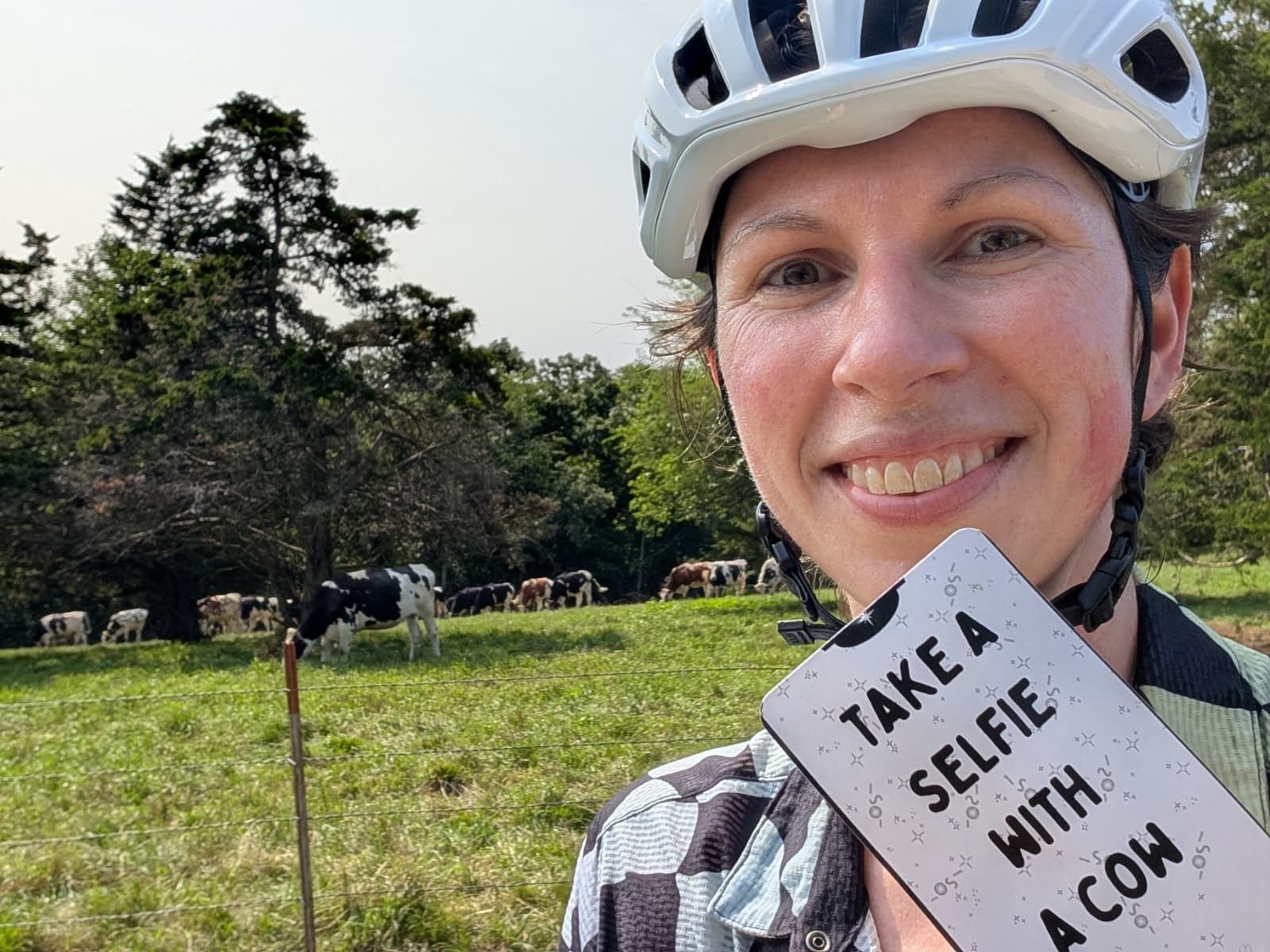 A rider in a helmet holding up a tarot card reading 'take a selfie with a cow', with cows grazing in the field behind her
