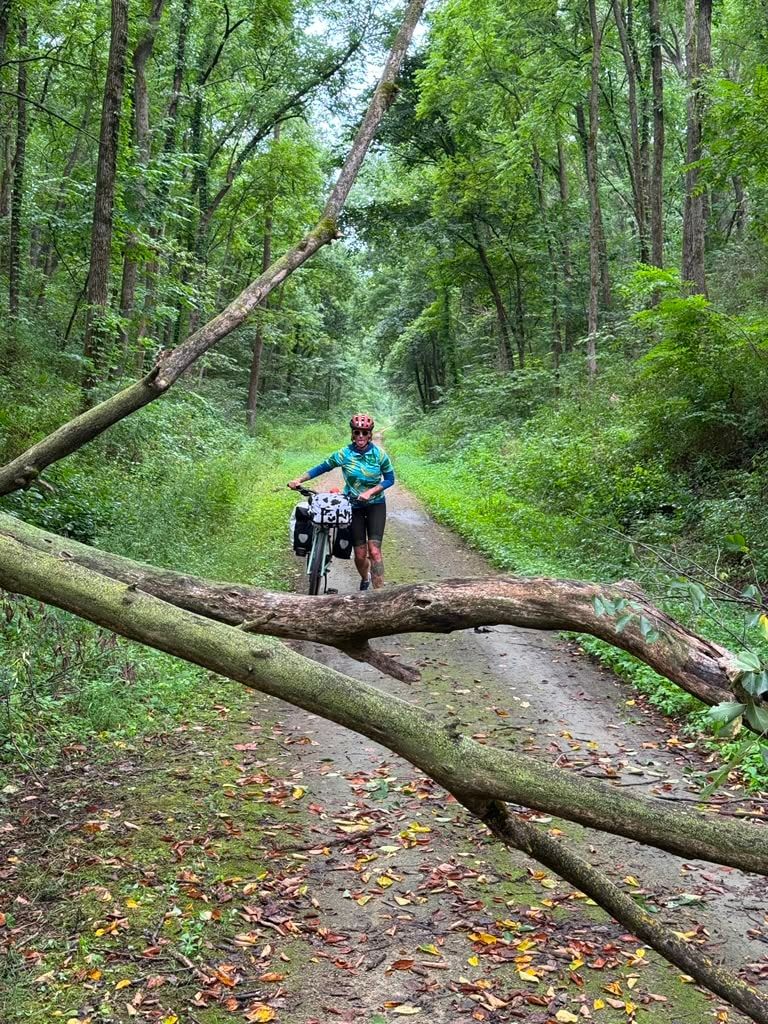 A rider stopped on a wooded trail blocked by a large fallen tree